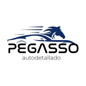 AnyConv.com__pegasso-min-1-300x300